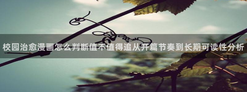 梦漫漫画完结榜